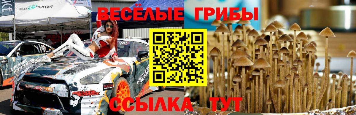 Псилоцибиновые грибы Magic Shrooms  Вход с VPN  Сертолово 